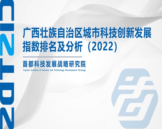 两吊操一逼【成果发布】广西壮族自治区城市科技创新发展指数排名及分析（2022）